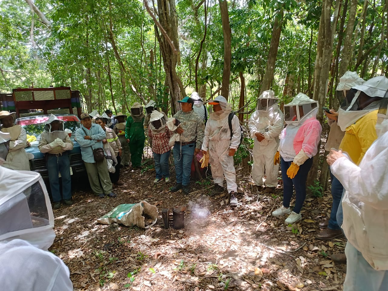 Apicultores del Mayab 1